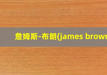 詹姆斯-布朗(james brown)